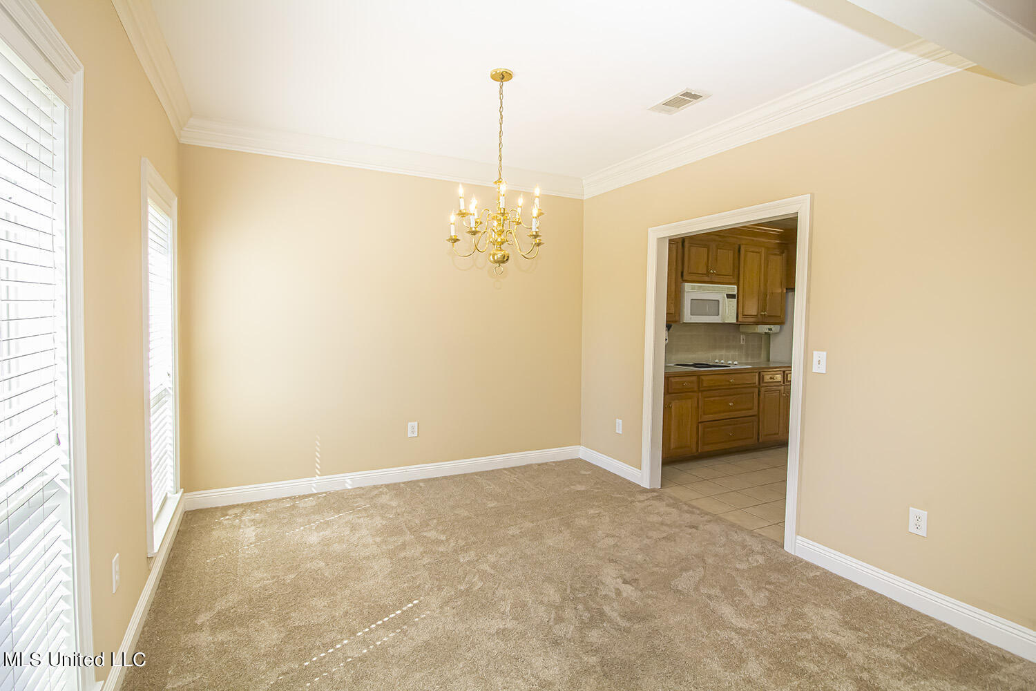 301 Windy Ridge Drive Brandon, MS 39042 - Photo 6 of 42 IMG_4868