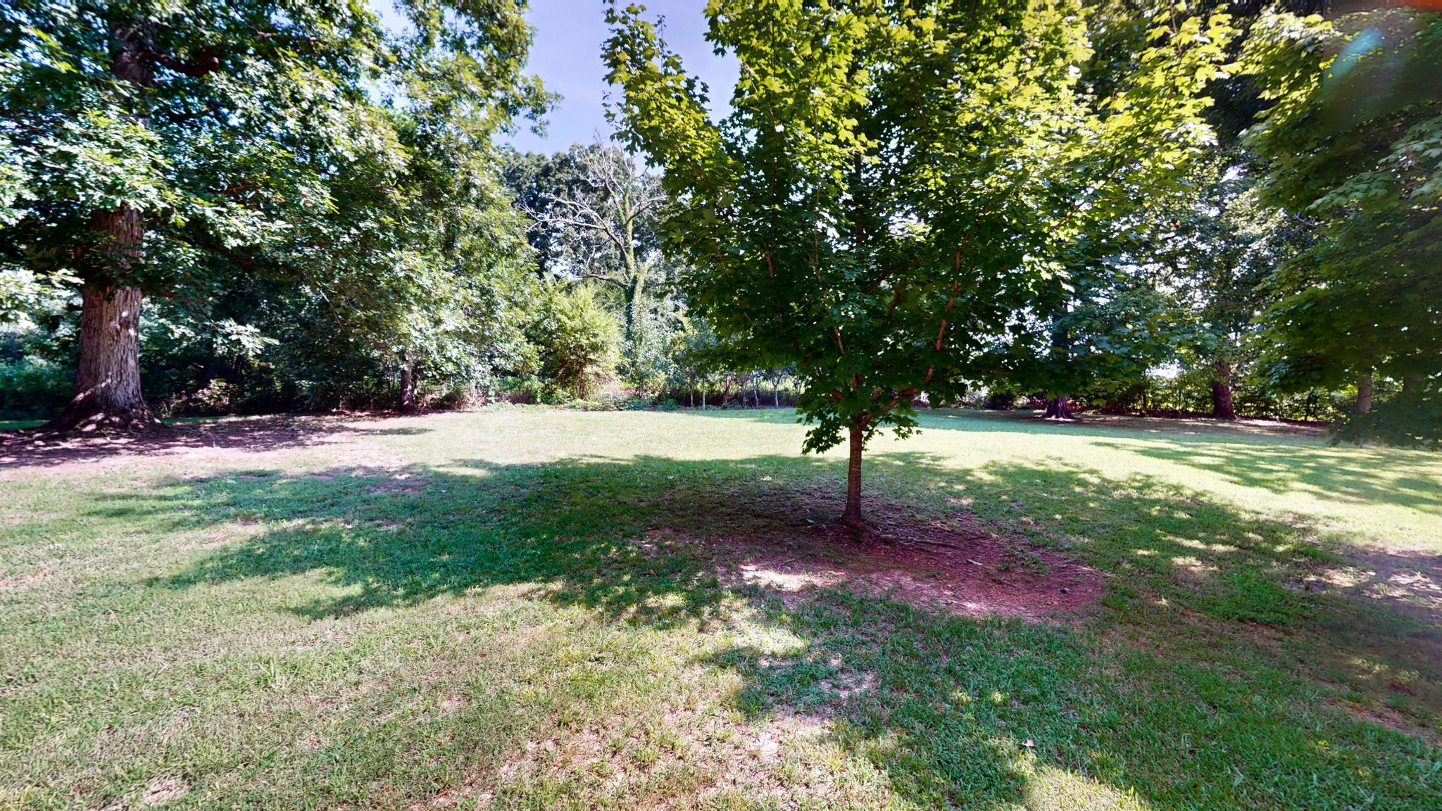 200 Eastside Road Burns, TN 37029 - Photo 31 of 32 a view of a tree in a yard