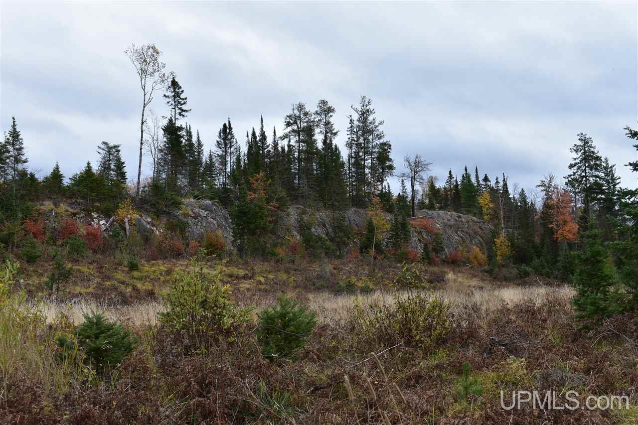 40-acres 40-acres Off Co Road Gwinn, MI 49841 - Photo 7 of 22