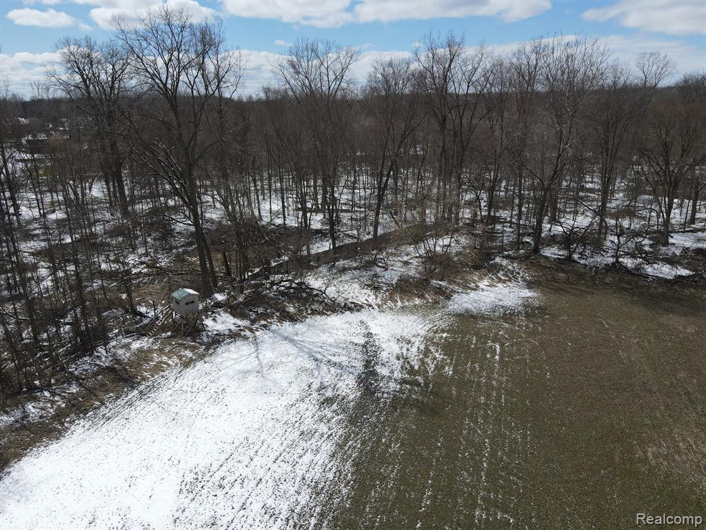 0 Adair Road Casco, MI 48064 - Photo 4 of 7