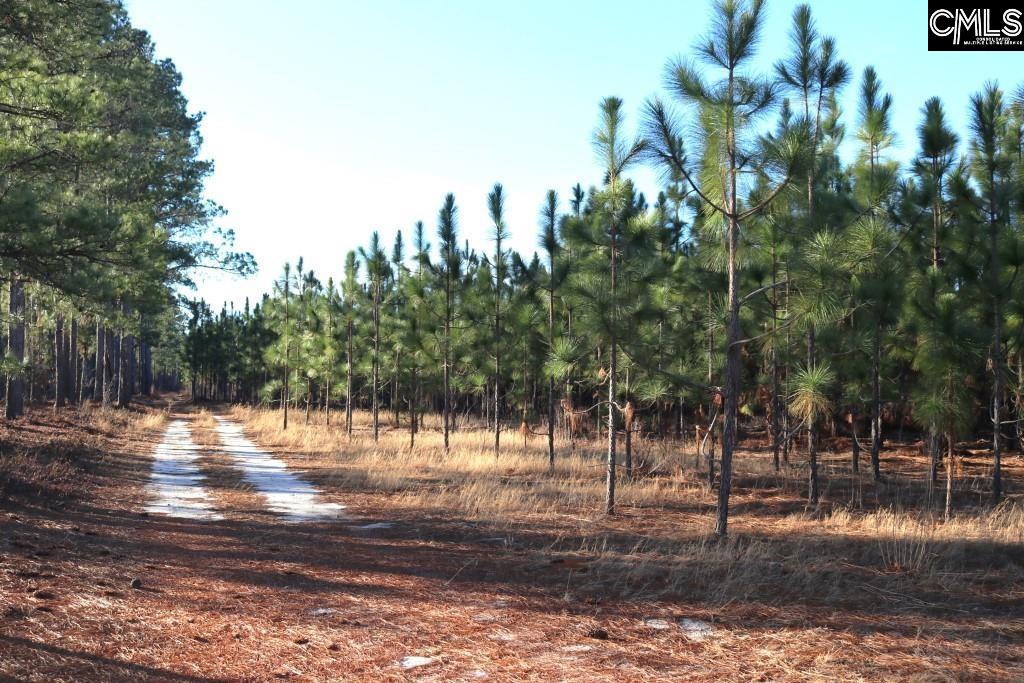 Holstein Road Wagener, SC 29164 - Photo 5 of 26