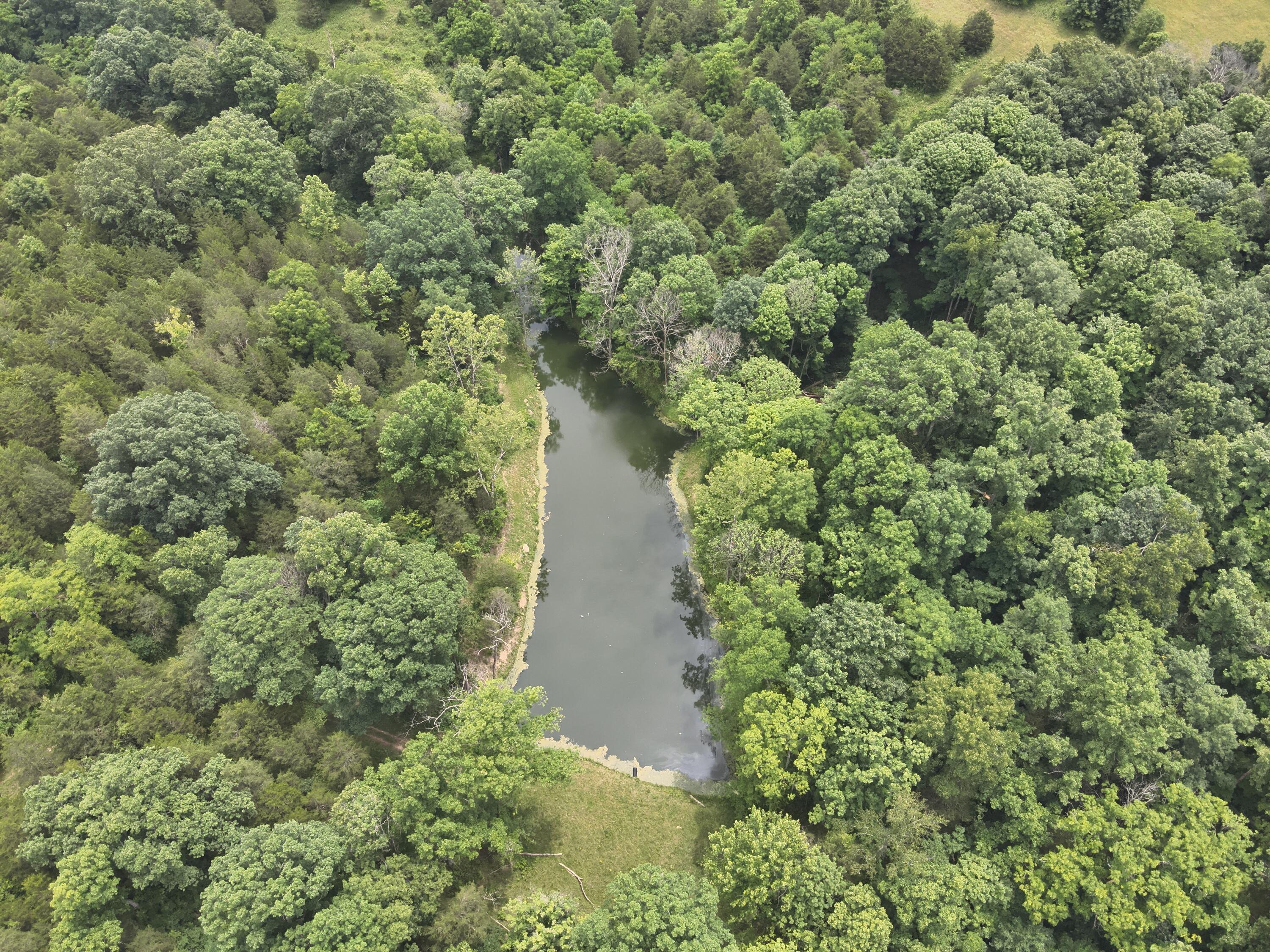 0 Kelly Ridge Road Irvine, KY 40336 - Photo 30 of 39 DJI_20260625135913_0017_V
