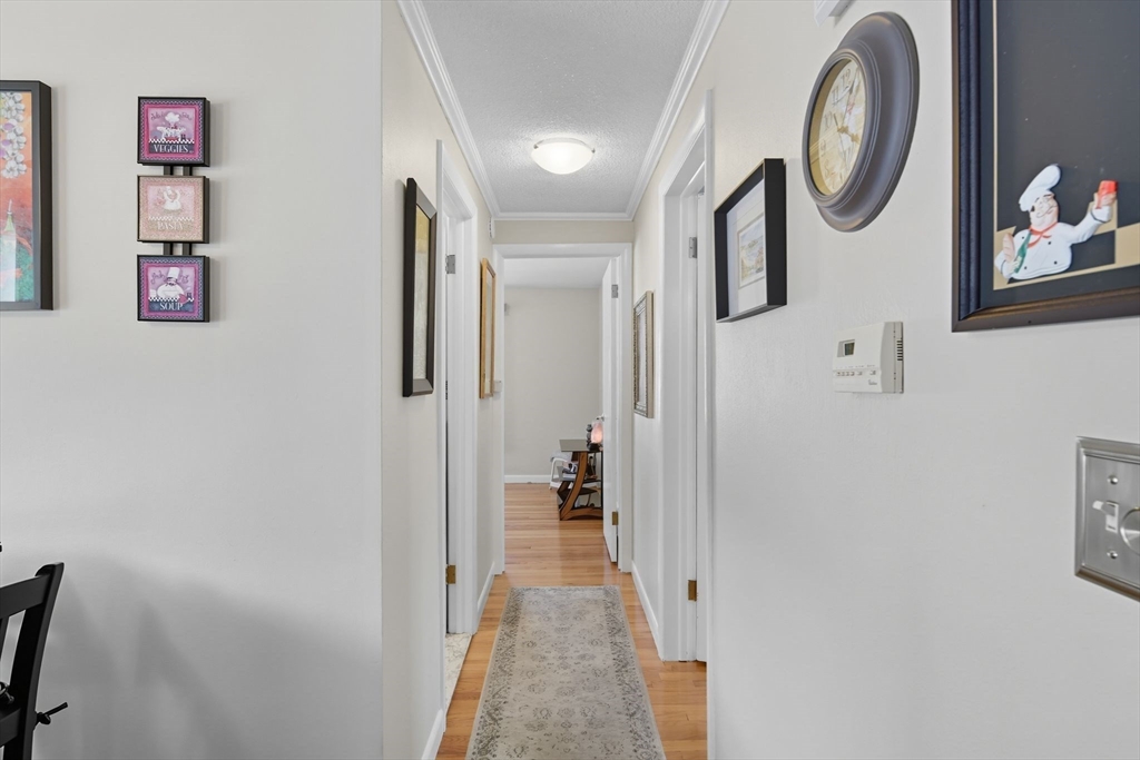 46 Overlea Drive Springfield, MA 01119 - Photo 18 of 42