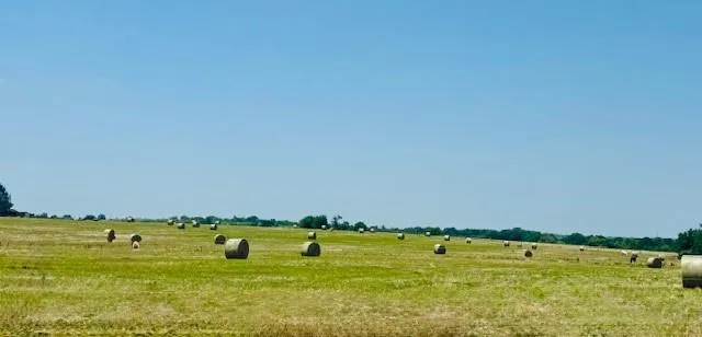 a view of an outdoor and kitchen