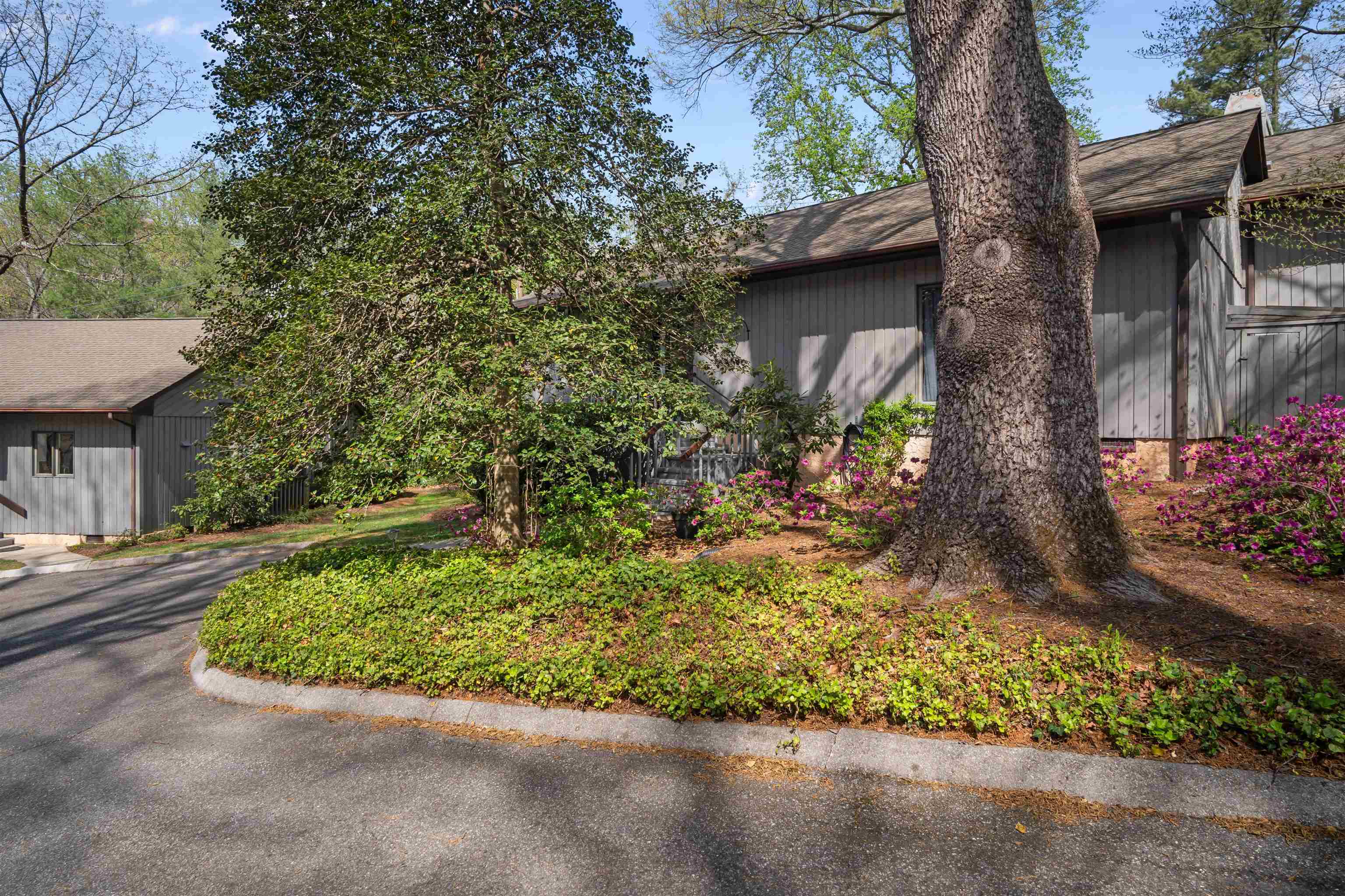 335 Melrose Avenue Tryon, NC 28782 - Photo 2 of 41