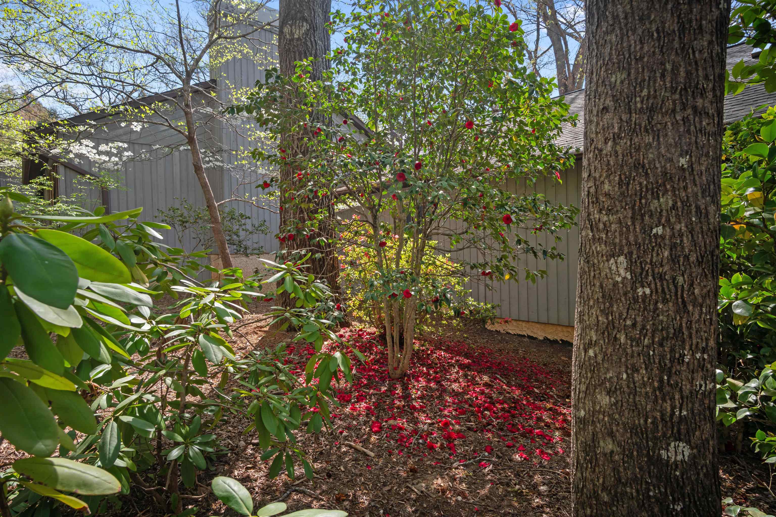 335 Melrose Avenue Tryon, NC 28782 - Photo 8 of 41