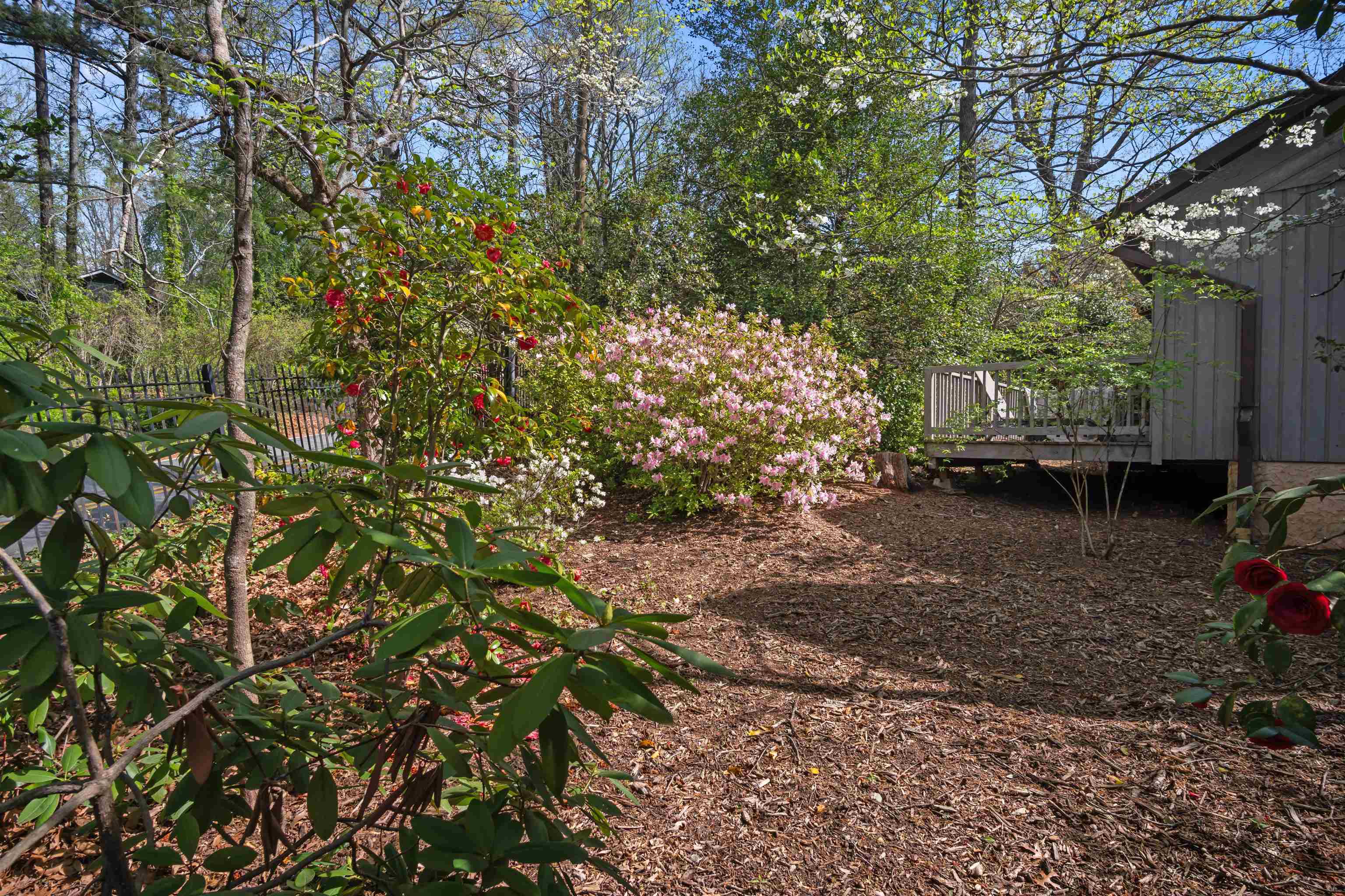 335 Melrose Avenue Tryon, NC 28782 - Photo 9 of 41