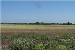 11 Monceaux Road Rayne, LA 70578 - Photo 1 of 1 Primary Photo