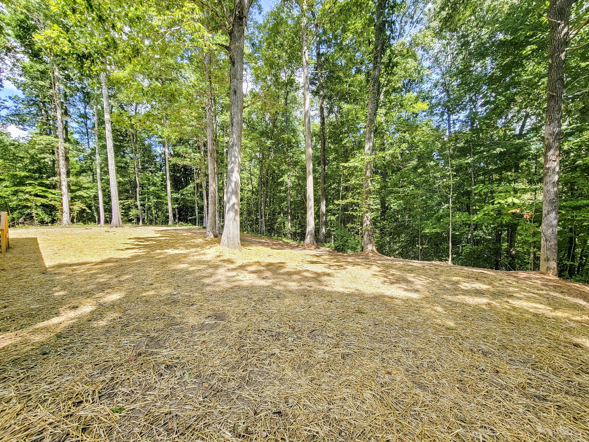 7631 Johnny Crow Road Lyles, TN 37098 - Photo 24 of 25 Gallery Image 24