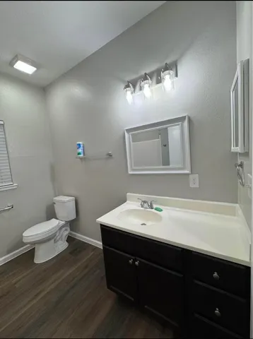 a bathroom with a sink a toilet and mirror