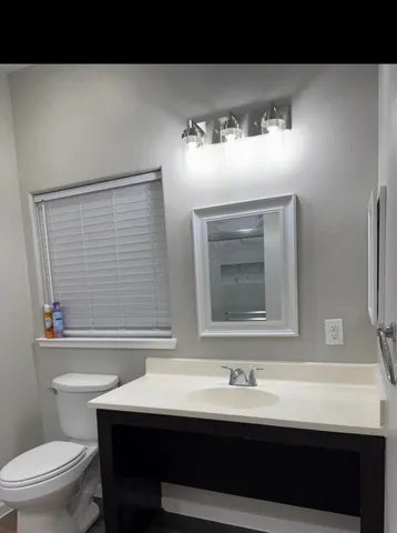 a bathroom with a sink and a toilet