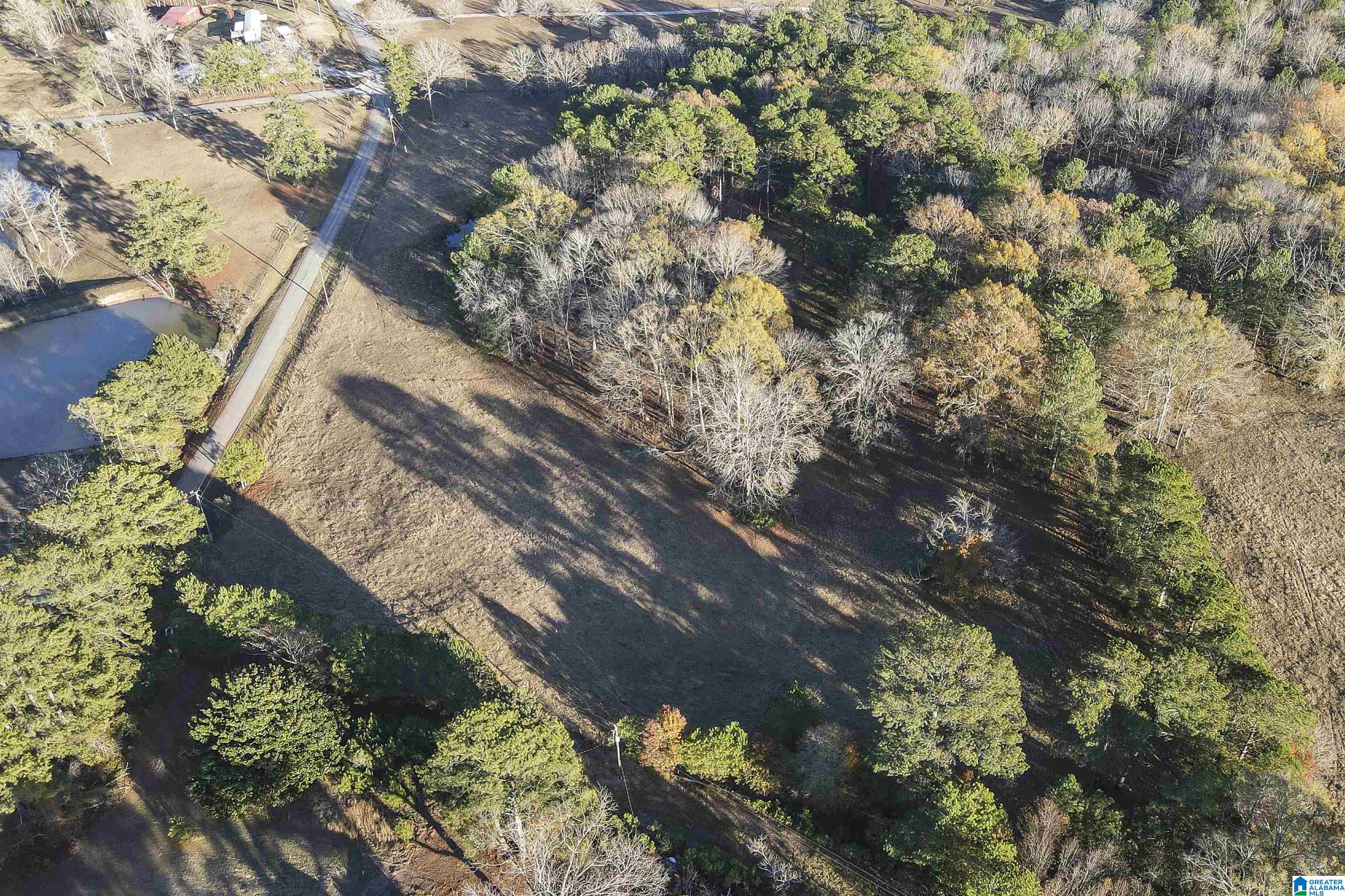 0 Kirkseys Bend, Unit 4 01 AC Ohatchee, AL 36271 - Photo 6 of 7
