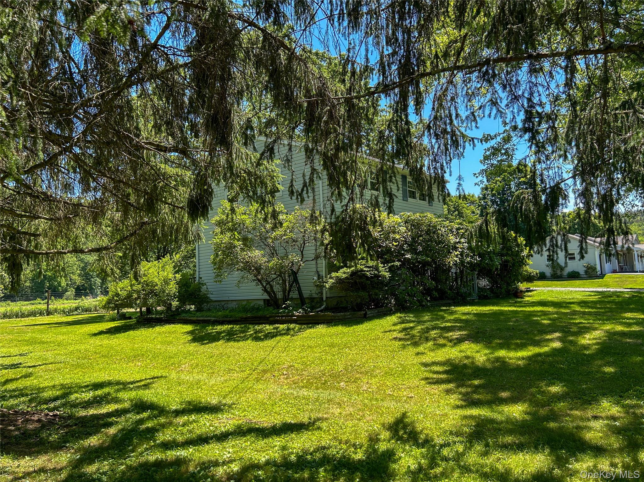 3 Johnston Road Livingston Manor, NY 12758 - Photo 34 of 43 a view of a yard