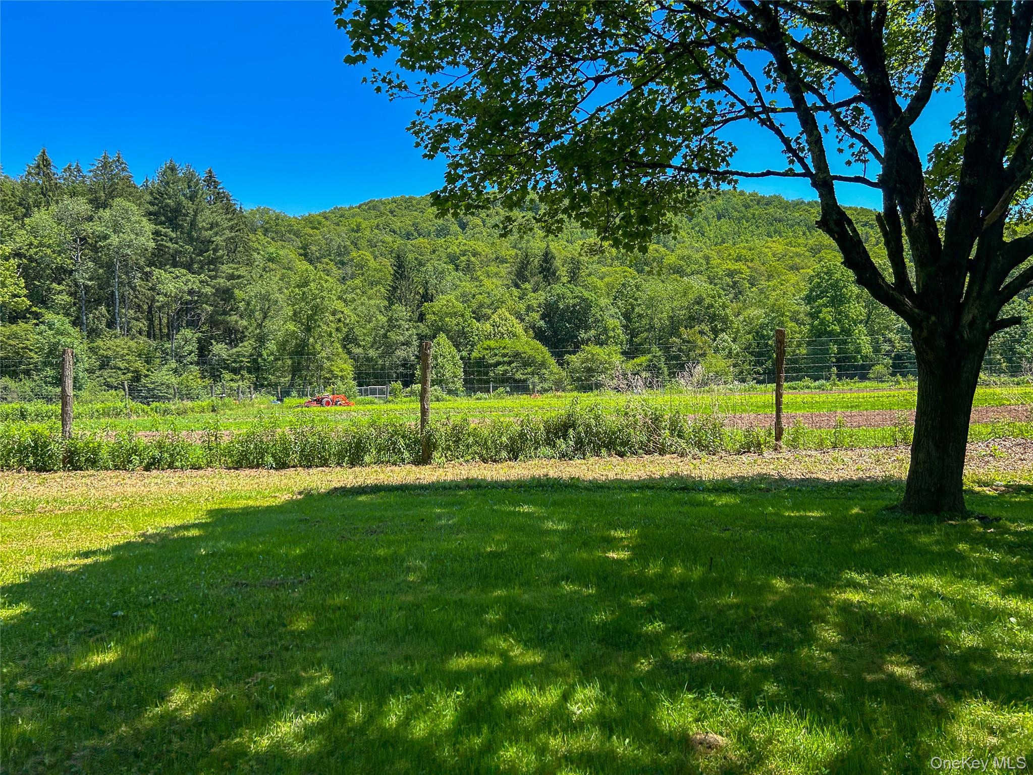 3 Johnston Road Livingston Manor, NY 12758 - Photo 39 of 43 a view of a grassy field with trees in the background