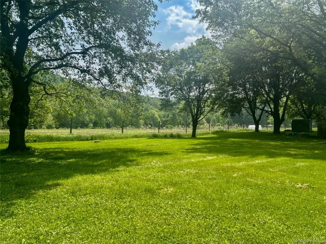 a view of field with trees