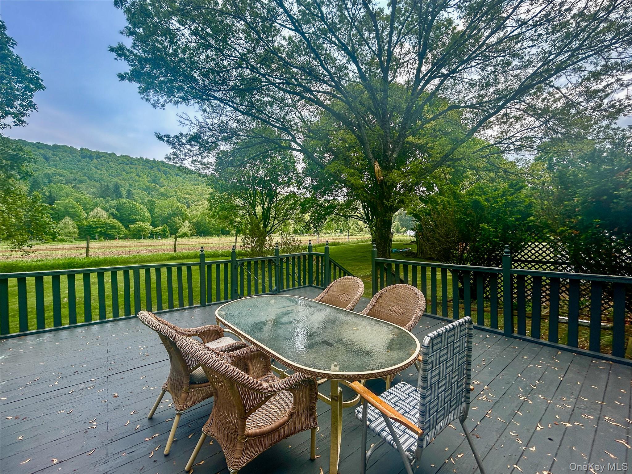 3 Johnston Road Livingston Manor, NY 12758 - Photo 6 of 43 a view of a chairs in balcony