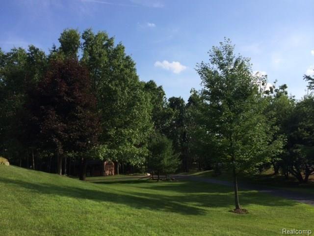 4499 Brown Road Metamora, MI 48455 - Photo 35 of 36 photo 4 (2) - Copy.jpg