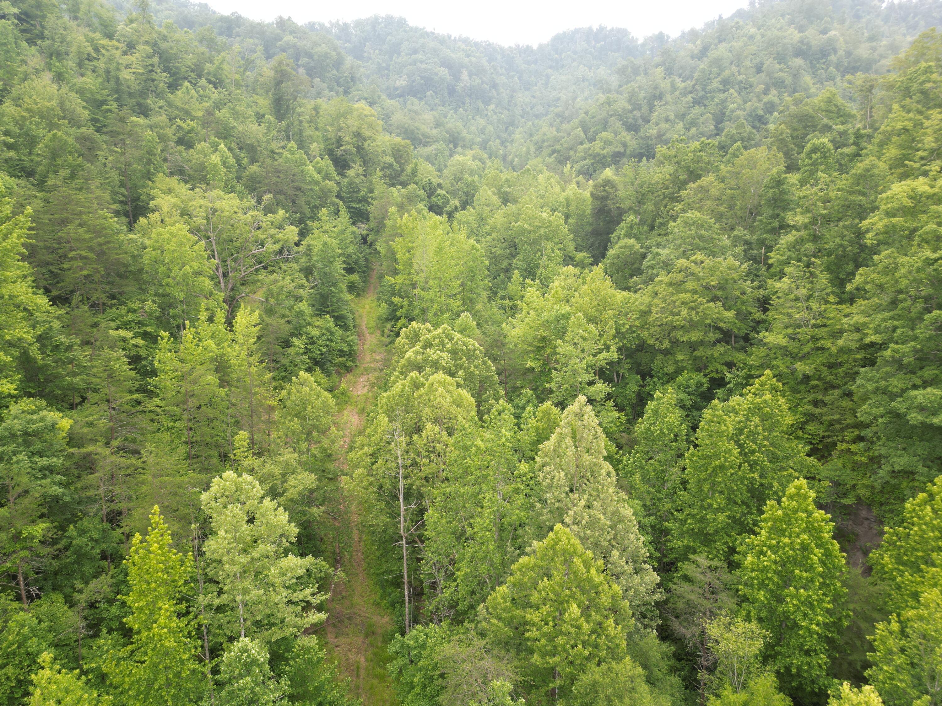 9991 Big Wildcat Road Manchester, KY 40962 - Photo 11 of 19 DJI_0132