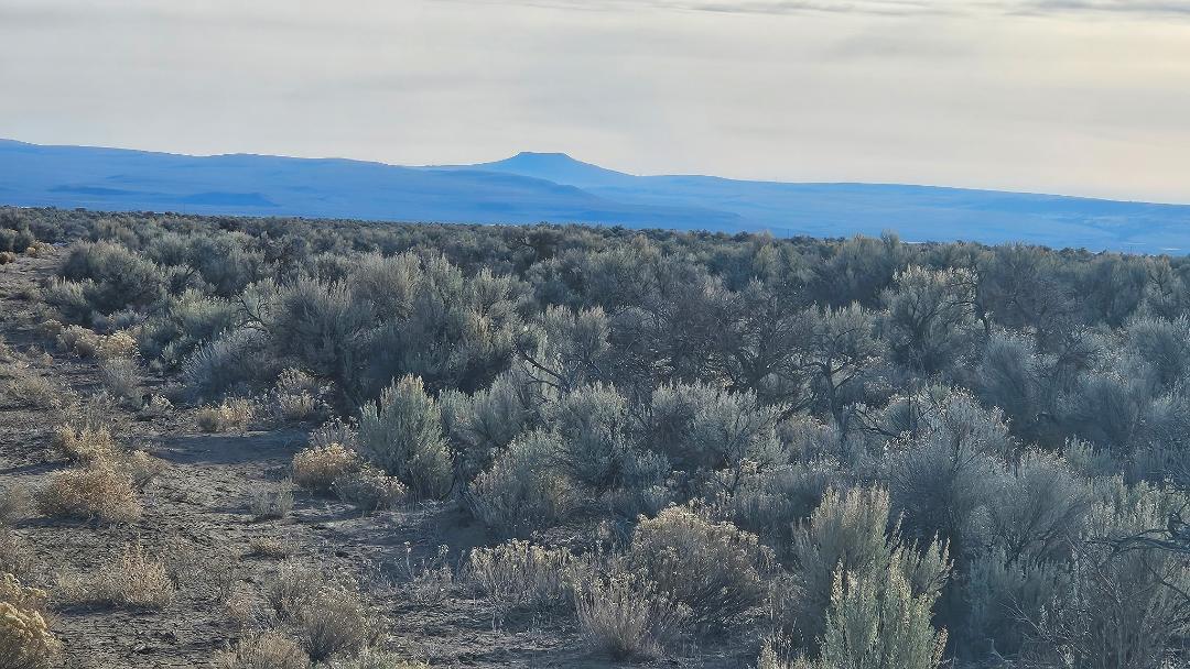 Fossil Lake Road, Unit TL 1200 Christmas Valley, OR 97641 - Photo 4 of 5