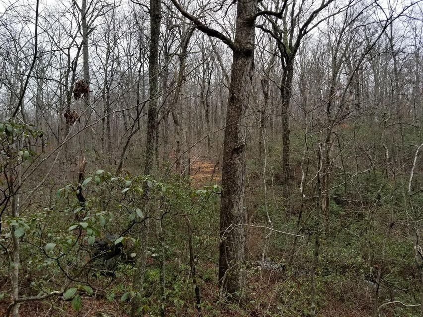 1988 Stewart Road Sewanee, TN 37375 - Photo 12 of 13 Gallery Image 12