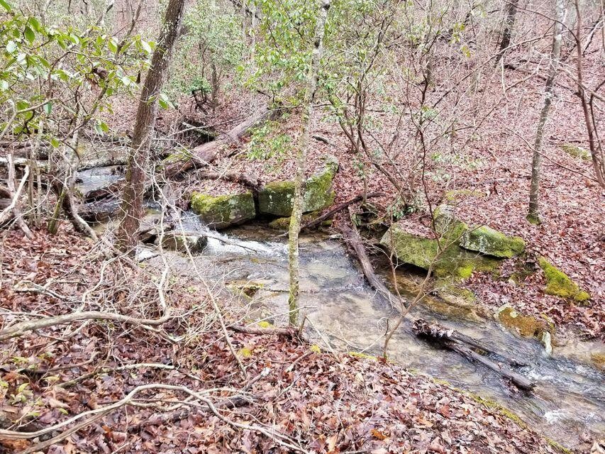 1988 Stewart Road Sewanee, TN 37375 - Photo 4 of 13 Gallery Image 4