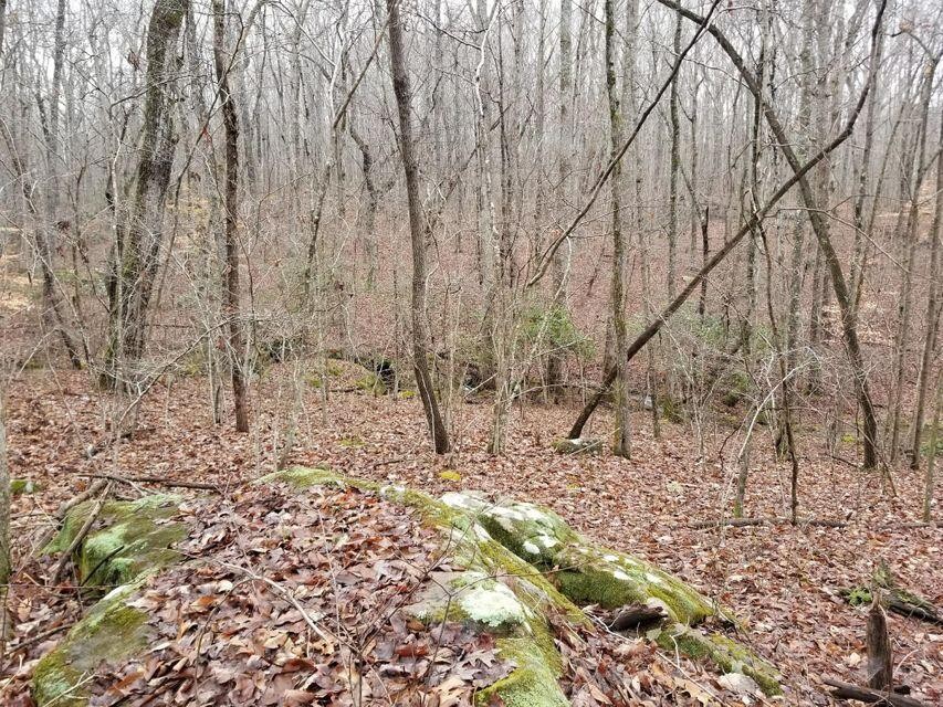 1988 Stewart Road Sewanee, TN 37375 - Photo 10 of 13 Gallery Image 10