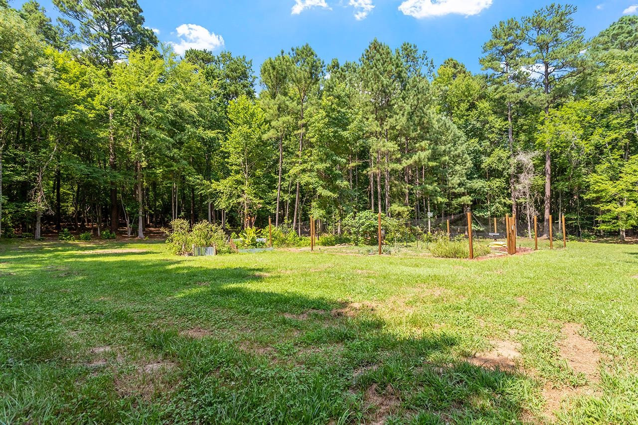 445 East Road Pittsboro, NC 27312 - Photo 42 of 44 Photo 42