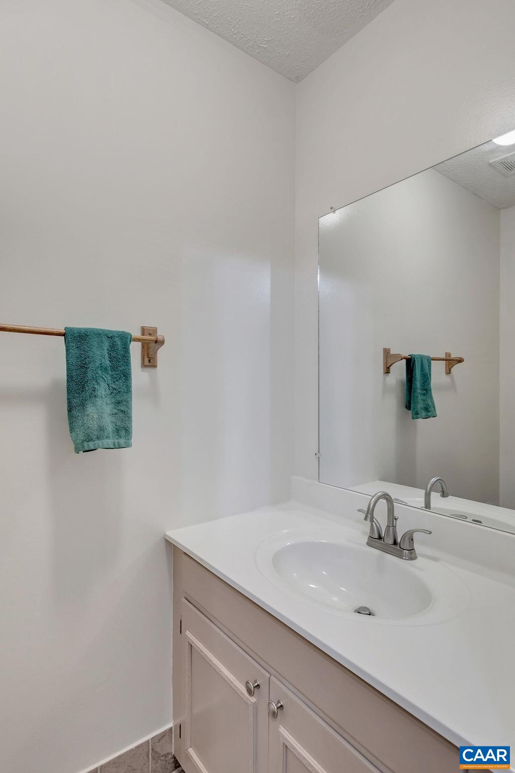 4875 Mechunk Road Keswick, VA 22947 - Photo 14 of 38 a bathroom with a sink and a mirror