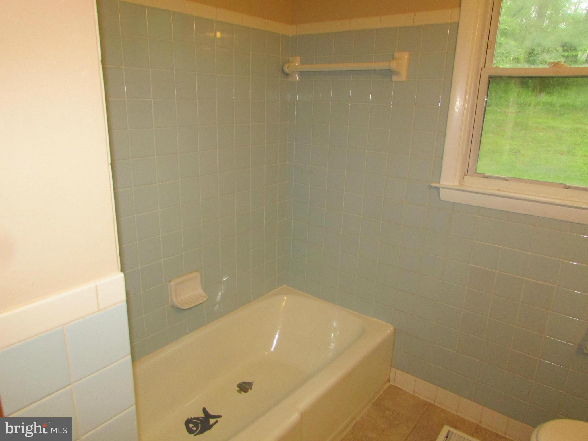 762 Old Manchester Road Westminster, MD 21157 - Photo 12 of 24 Bath tub