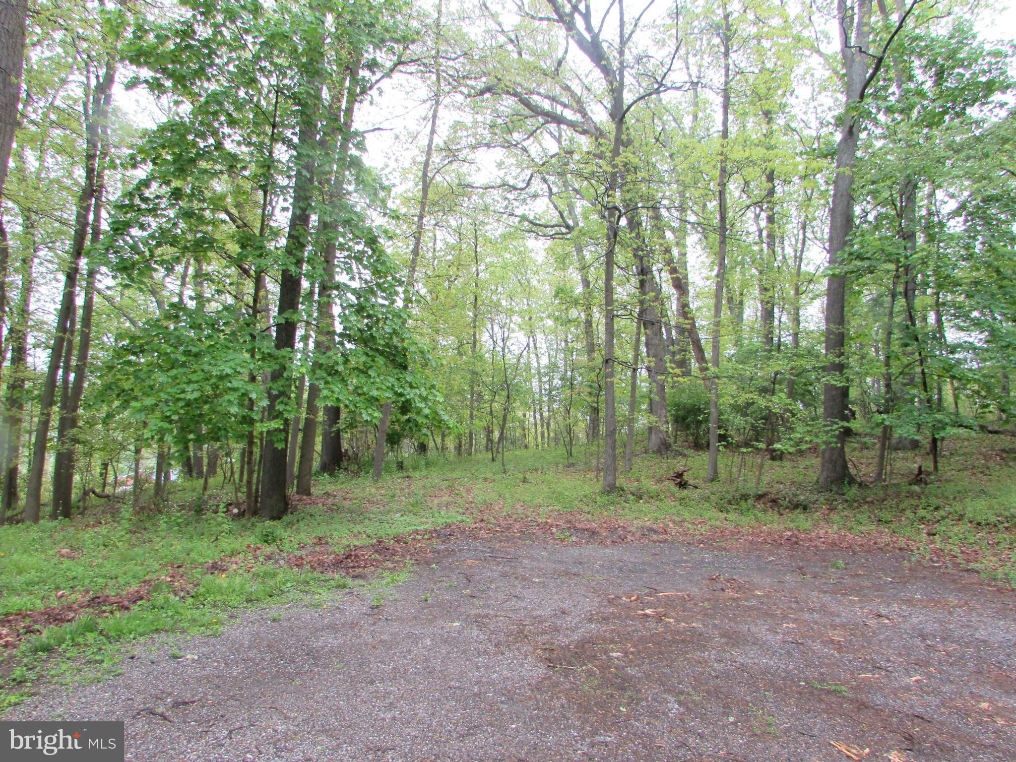 762 Old Manchester Road Westminster, MD 21157 - Photo 4 of 24 Plenty of parking