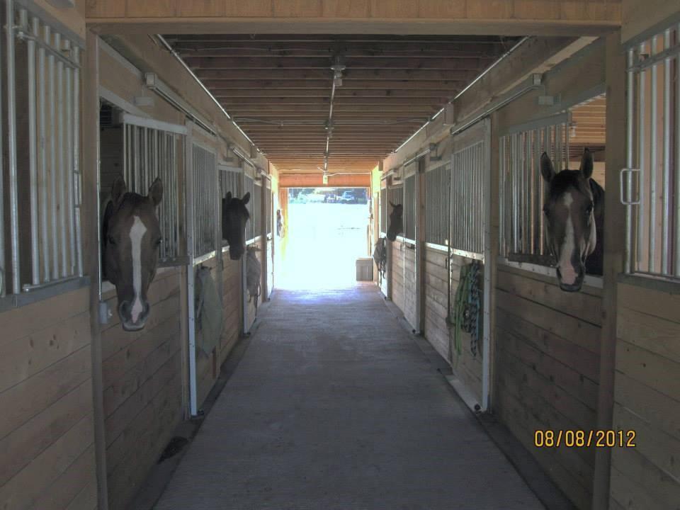 3176 Bennoch Road Alton, ME 04468 - Photo 5 of 31 Hello! Got any treats?