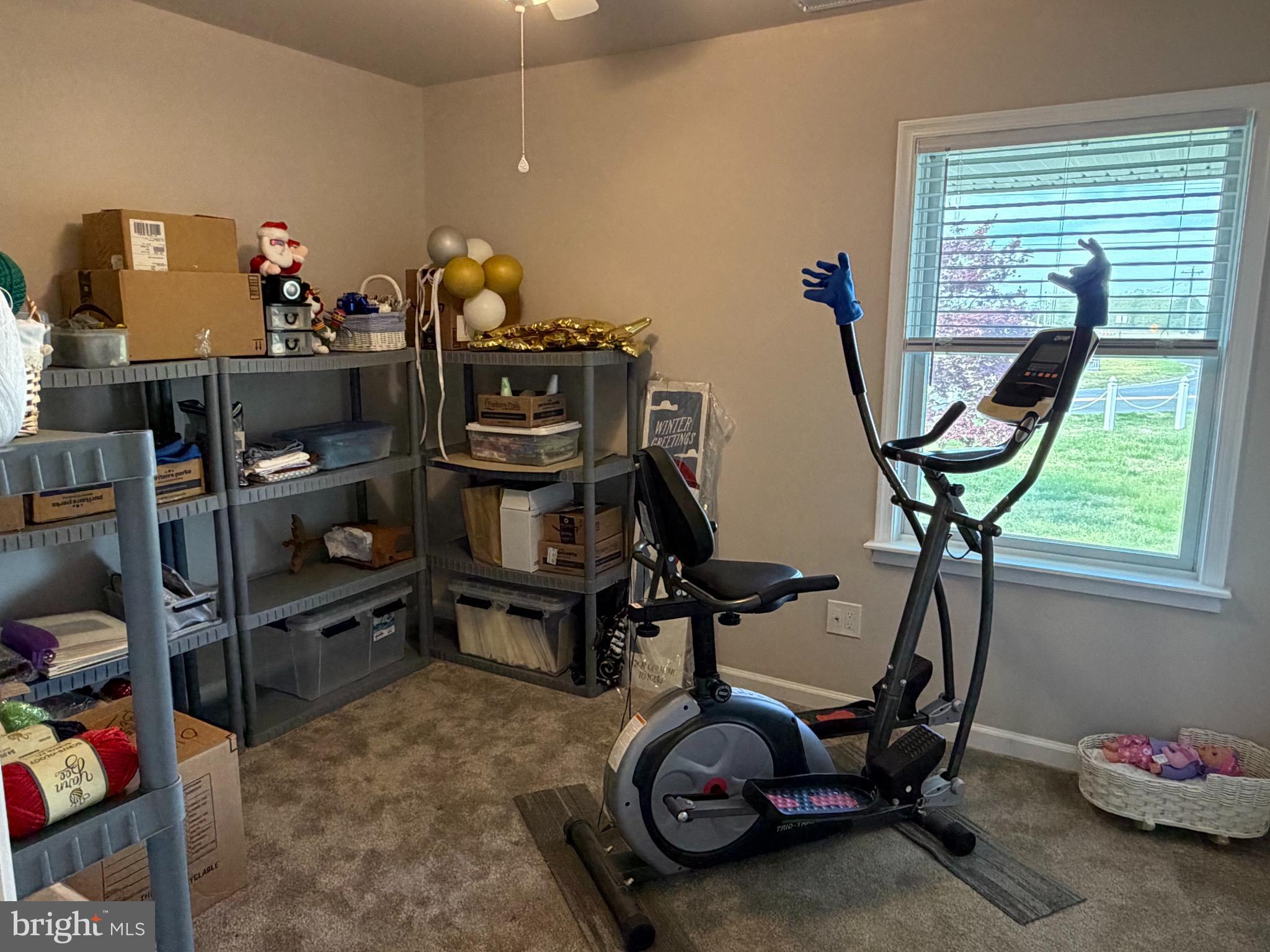 36032 Double Bridges Road Frankford, DE 19945 - Photo 30 of 51 a view of a room with gym equipment