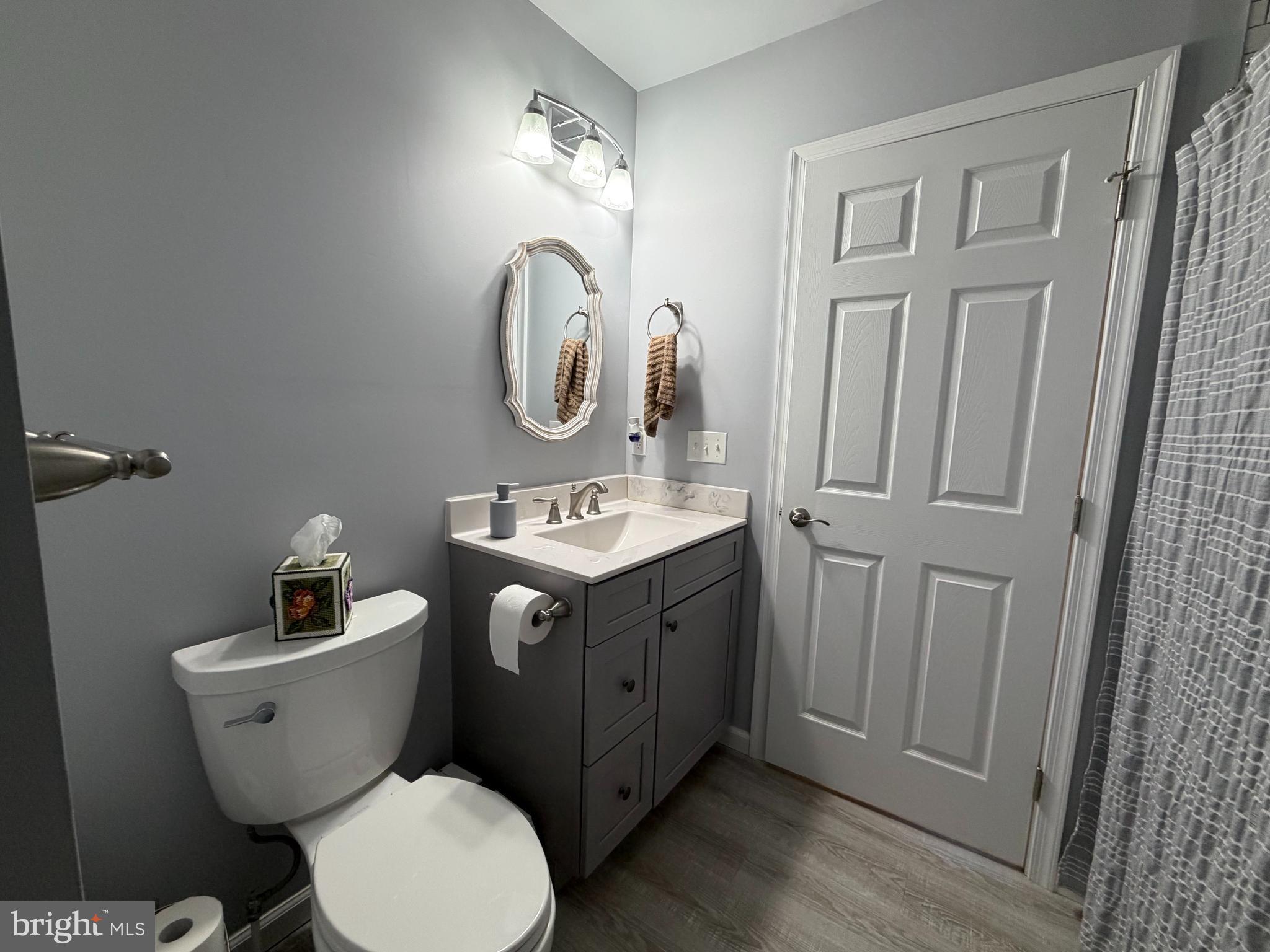 36032 Double Bridges Road Frankford, DE 19945 - Photo 32 of 51 a bathroom with a toilet a sink and mirror
