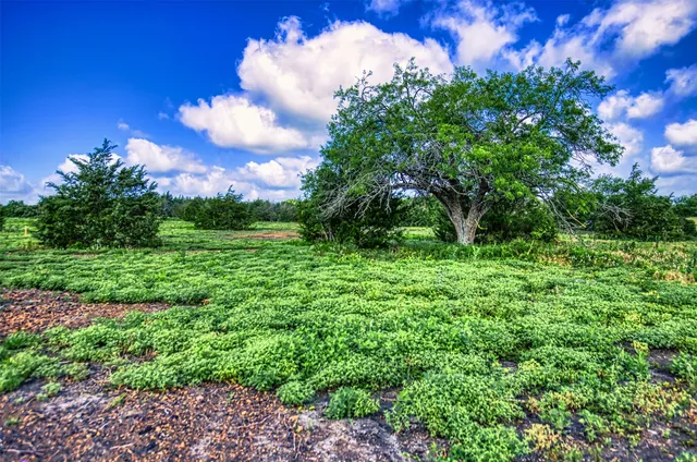 $197,520 | Lot 2 Wonder Hill Road, Chappell Hill, TX 77426
