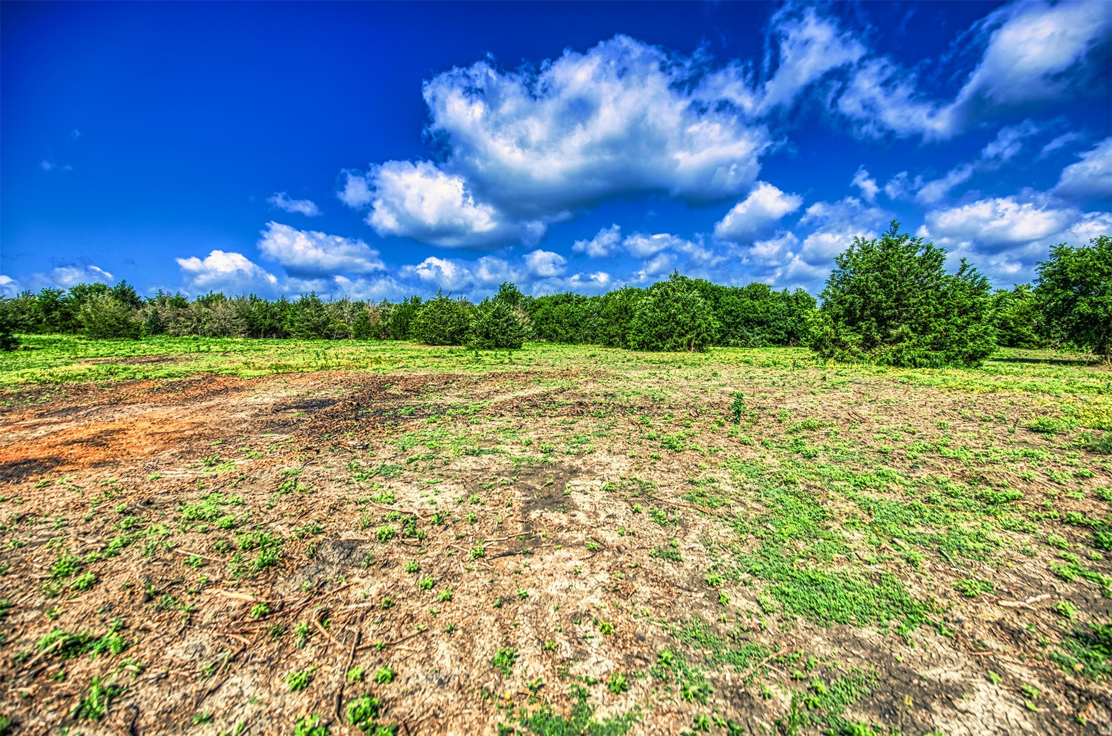 Lot 2 Wonder Hill Road Chappell Hill, TX 77426 - Photo 6 of 17