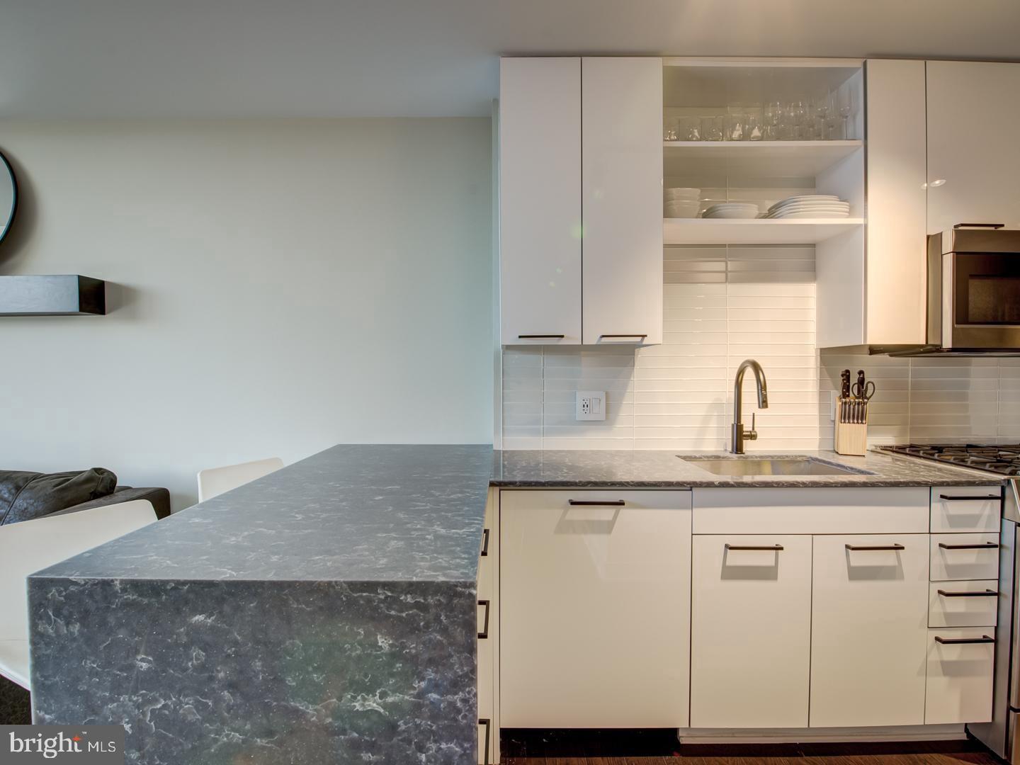 70 N Street Southeast, Unit N607 Washington, DC 20003 - Photo 8 of 20 a kitchen with granite countertop a sink and cabinets