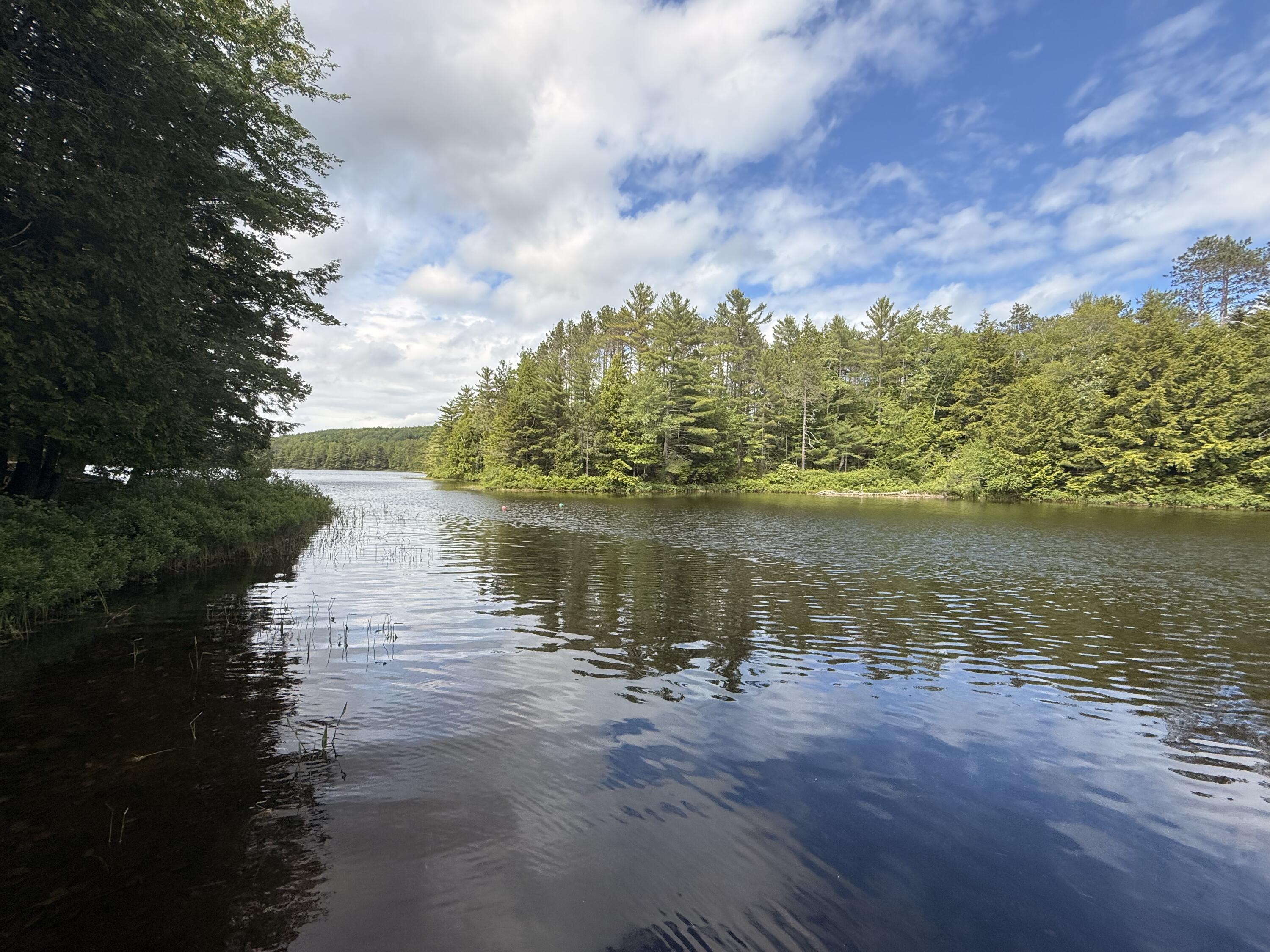 628 Springy Pond Road Ellsworth, ME 04605 - Photo 6 of 28