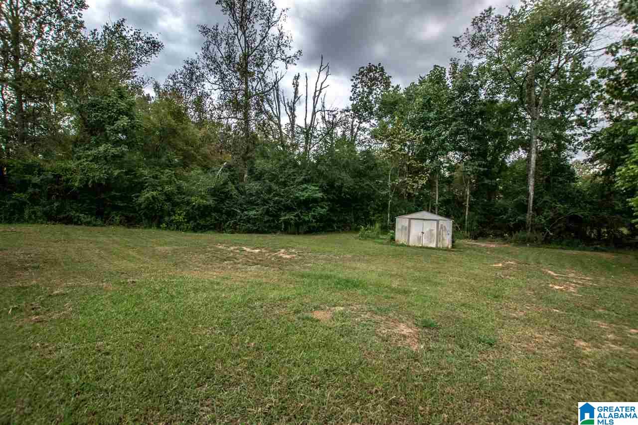 102 Wet Cat Road Hayden, AL 35079 - Photo 41 of 44