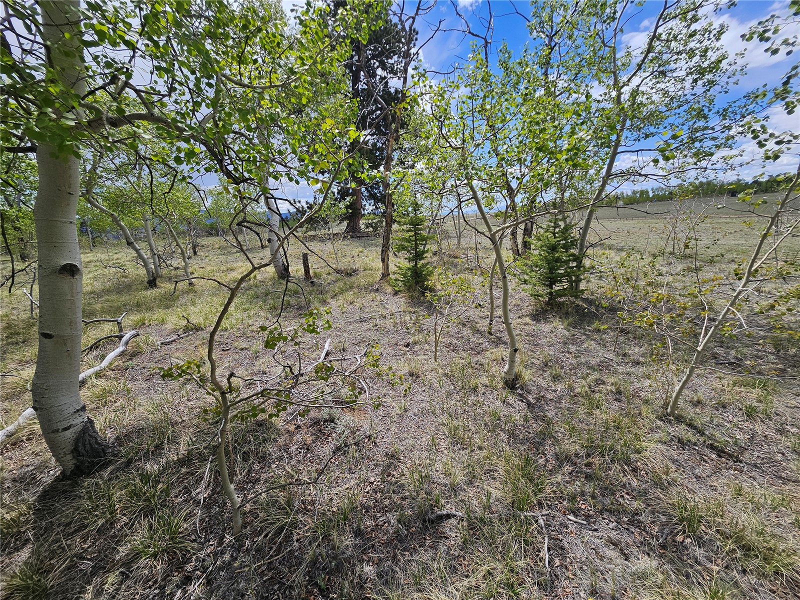 412 Smith And Wesson Road Como, CO 80432 - Photo 13 of 50