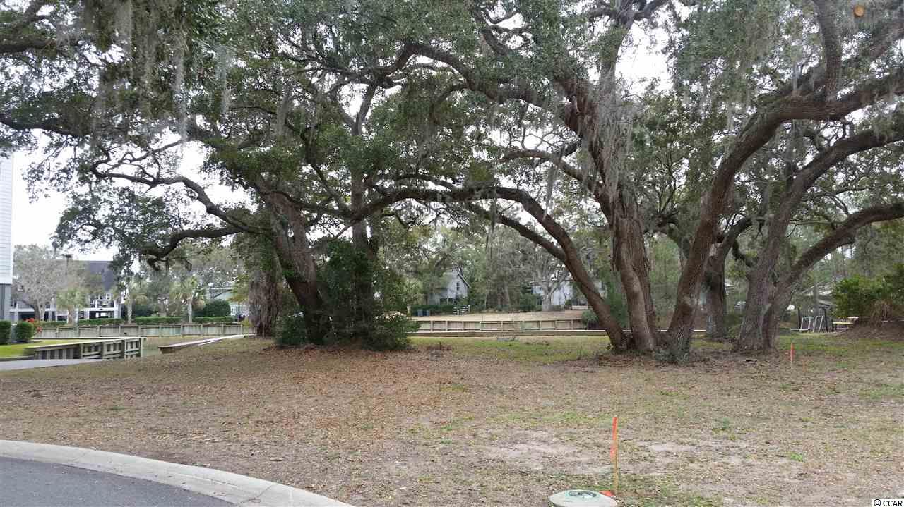 18 Flagg Street Murrells Inlet, SC 29576 - Photo 1 of 13