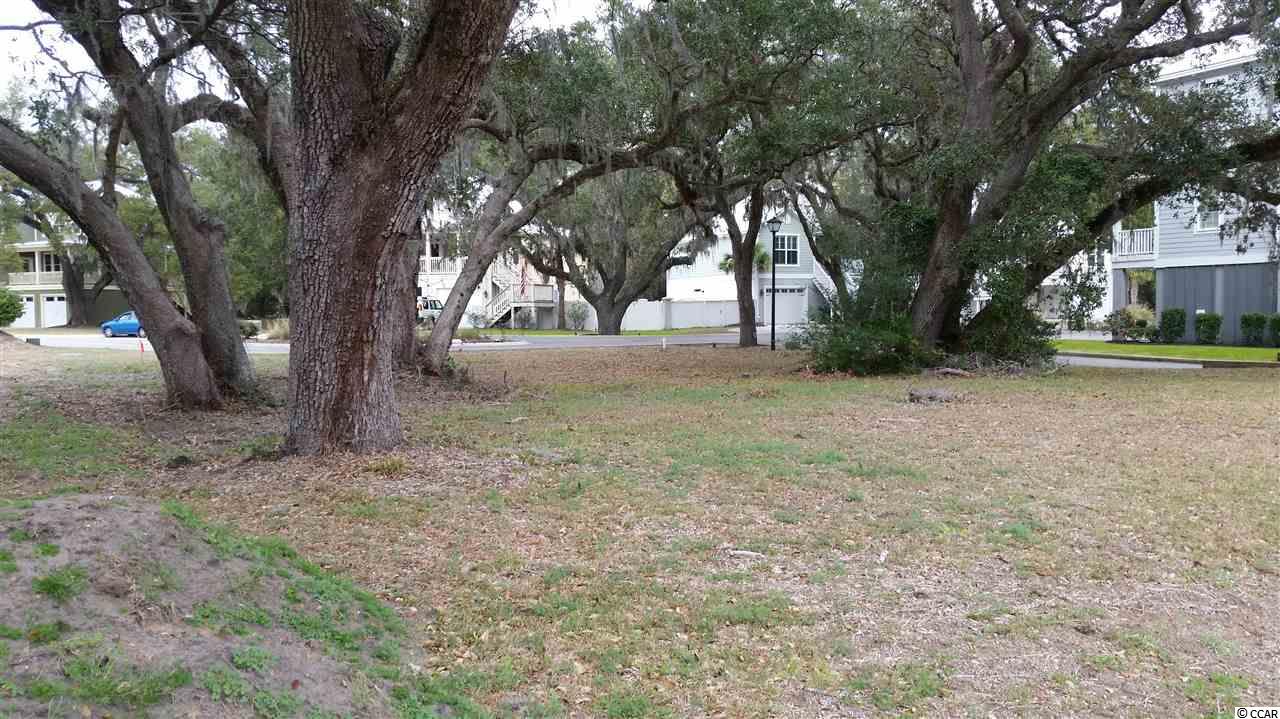 18 Flagg Street Murrells Inlet, SC 29576 - Photo 2 of 13