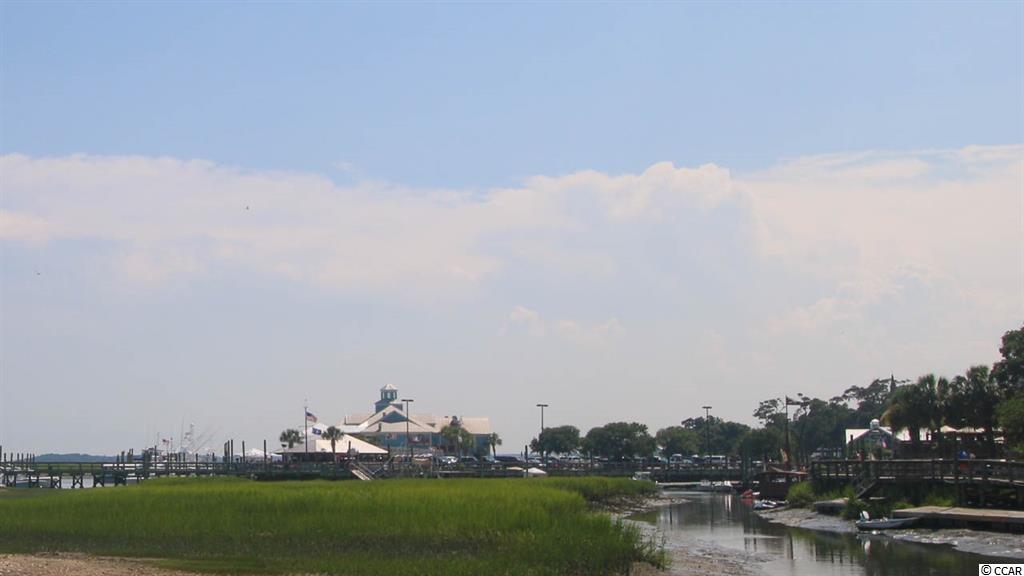 18 Flagg Street Murrells Inlet, SC 29576 - Photo 13 of 13