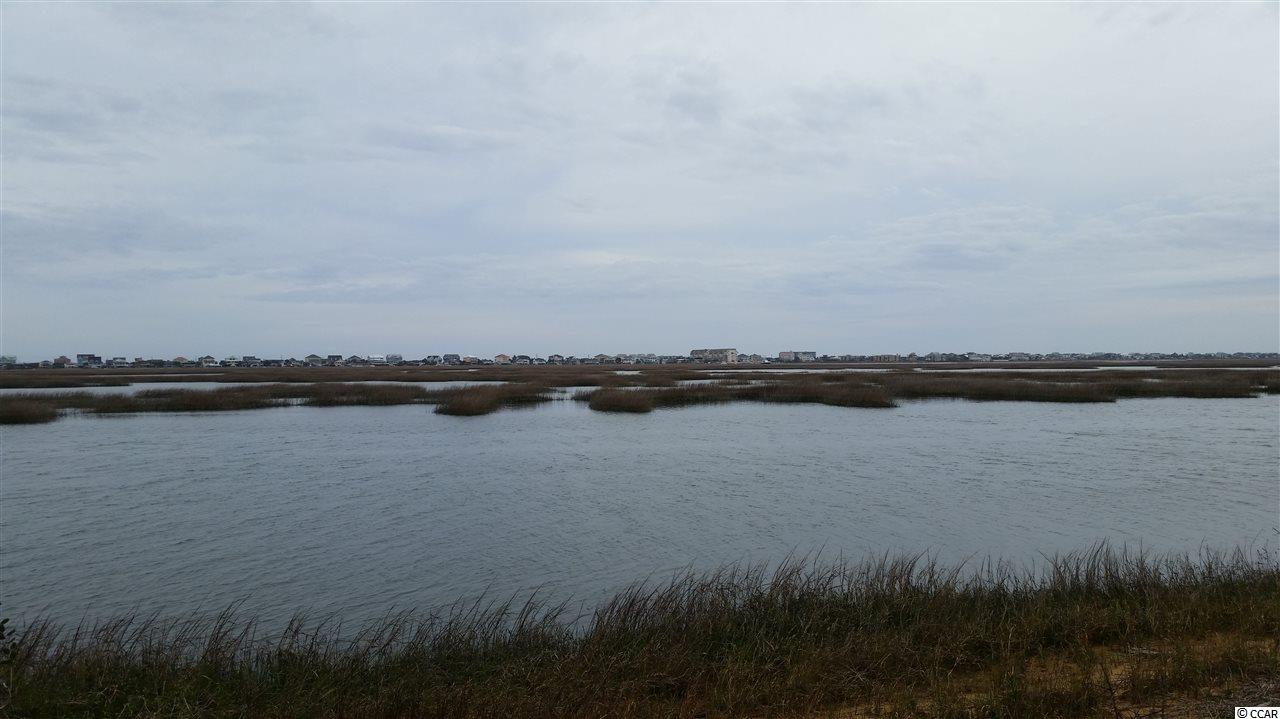 18 Flagg Street Murrells Inlet, SC 29576 - Photo 7 of 13