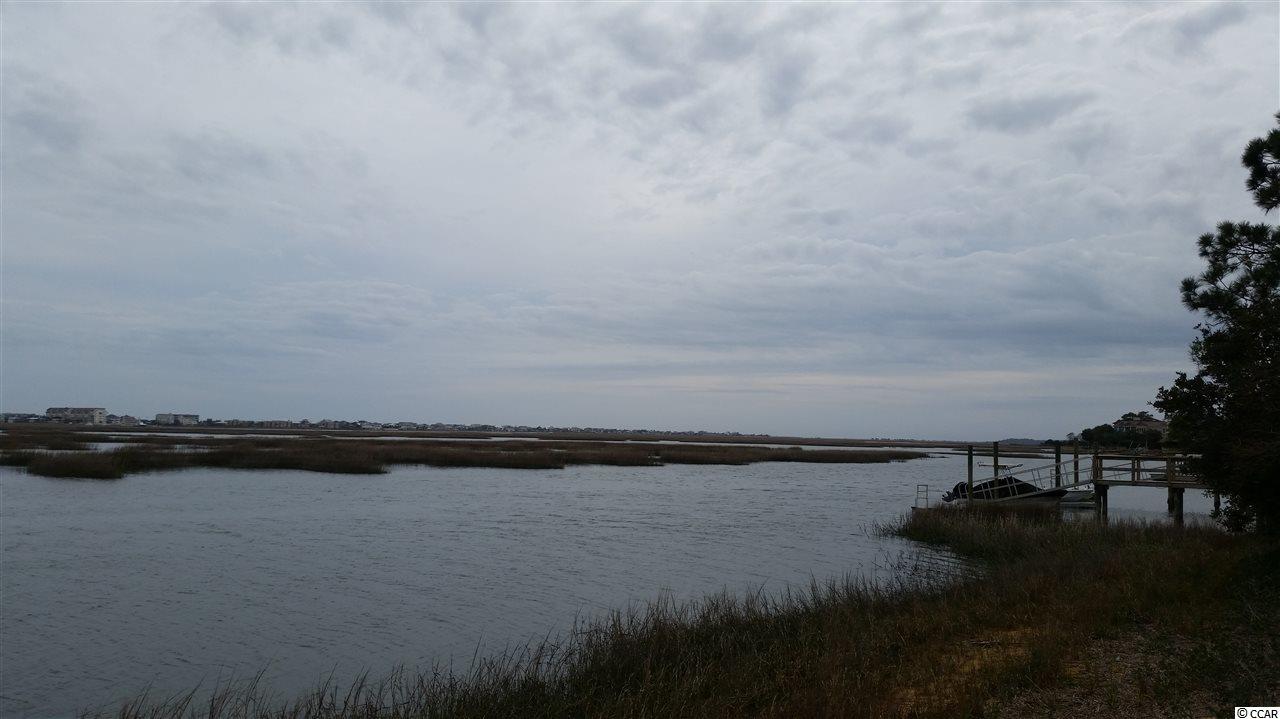 18 Flagg Street Murrells Inlet, SC 29576 - Photo 8 of 13