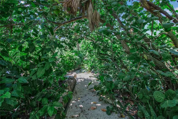 a view of a lush green field