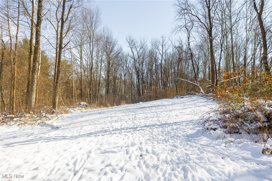 138 Township Road Coshocton, OH 43812 - Photo 12 of 47 Yard layered in snow with a view of trees