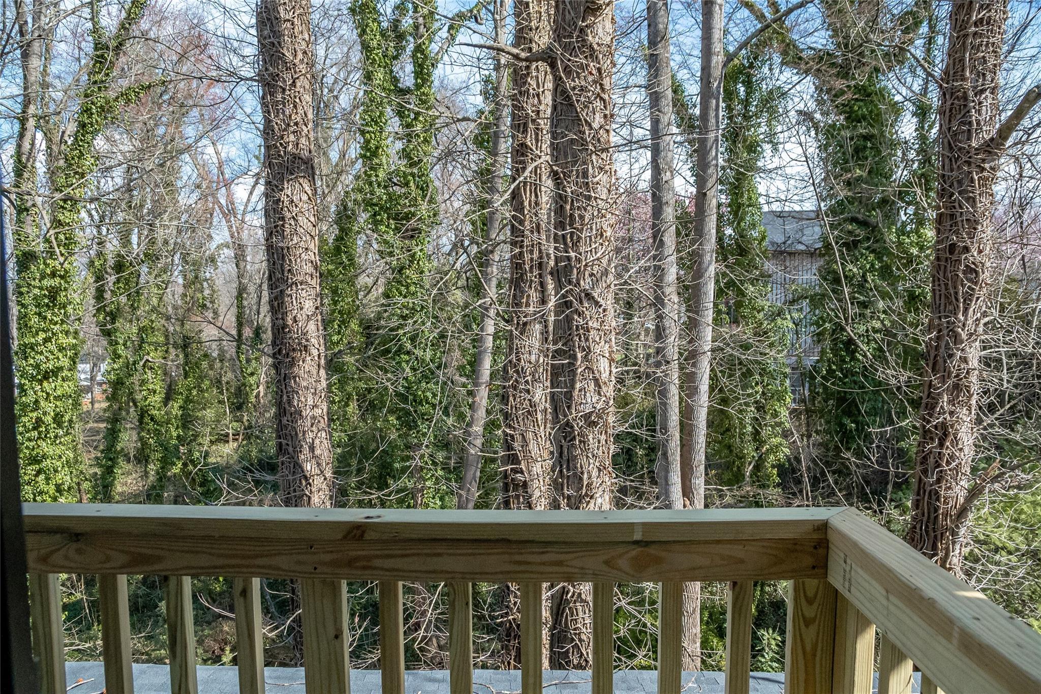 212 Riverside Drive Morganton, NC 28655 - Photo 28 of 44 a view of a forest from a balcony