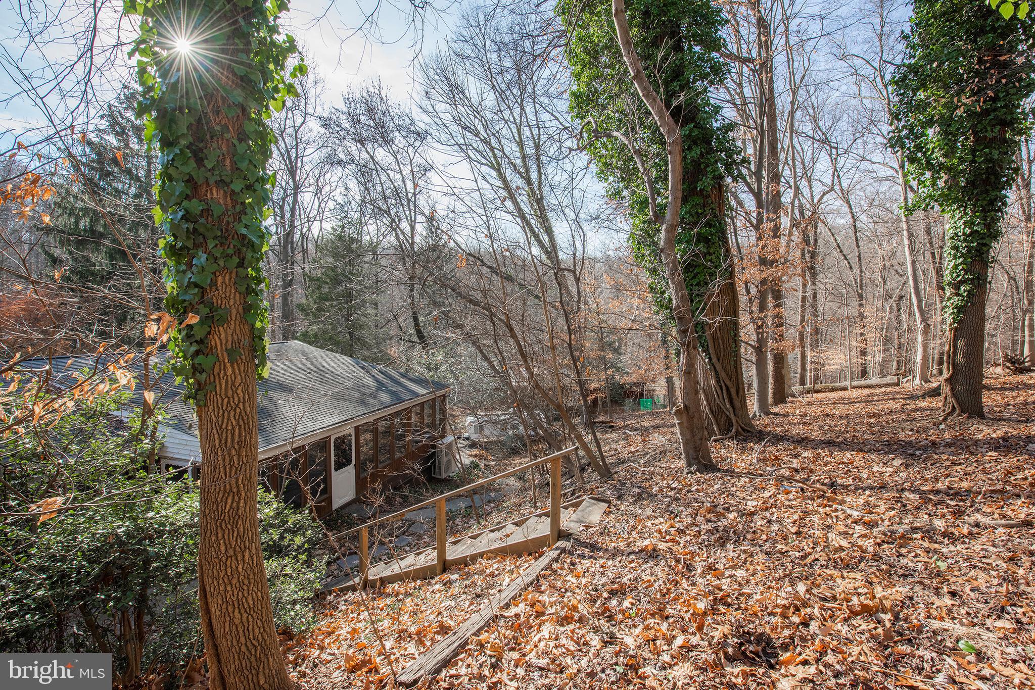 207 Vassar Circle Wayne, PA 19087 - Photo 18 of 28 Wooded Lot