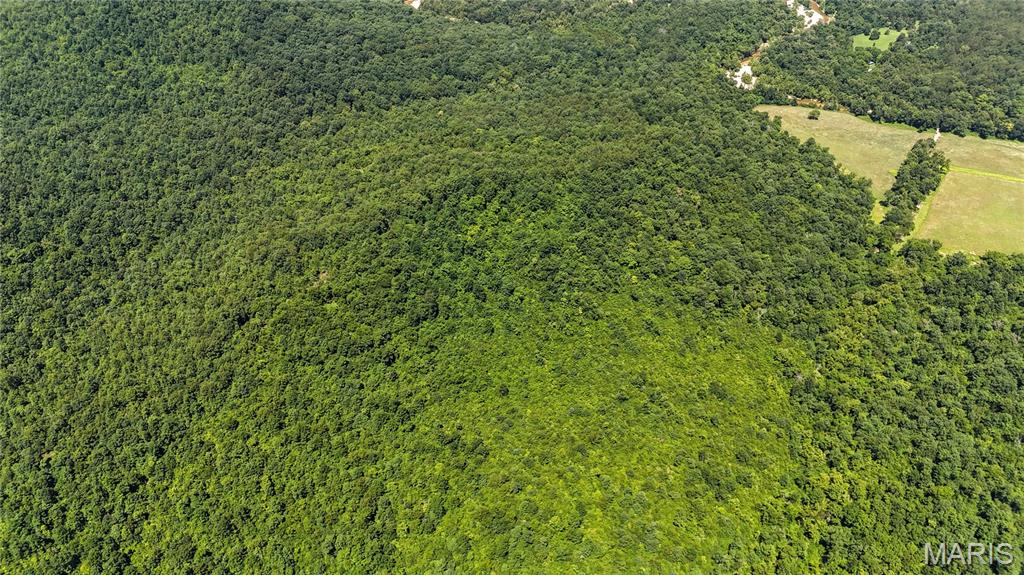 Tbd Tbd Antler Ridge Bunker, MO 63629 - Photo 11 of 26