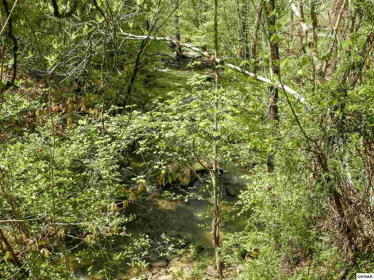 7 Old Birds Creek Road Sevierville, TN 37876 - Photo 10 of 15